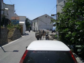 Amalfi Coast Road