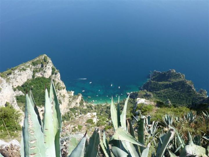 Capri View