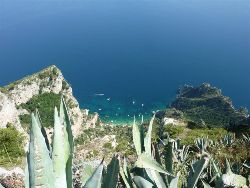 Capri View