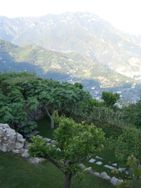 Ravello Views