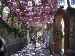 Positano Lane