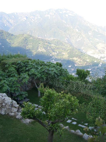 Ravello View